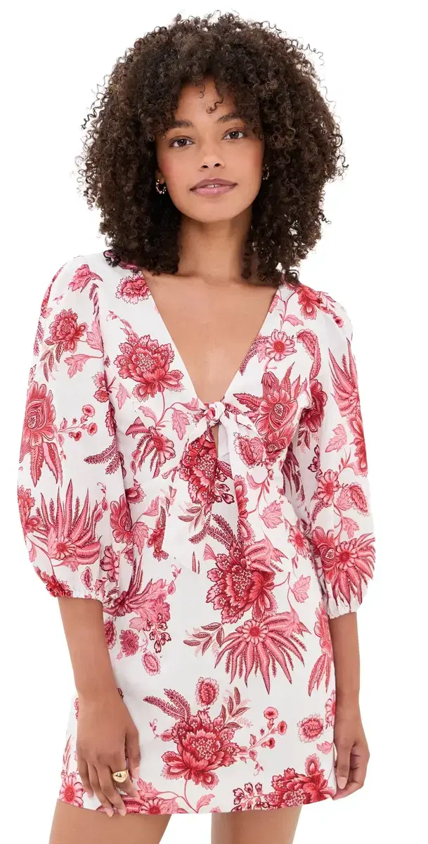 Bailey Mini Dress Bailey Mini Dress
