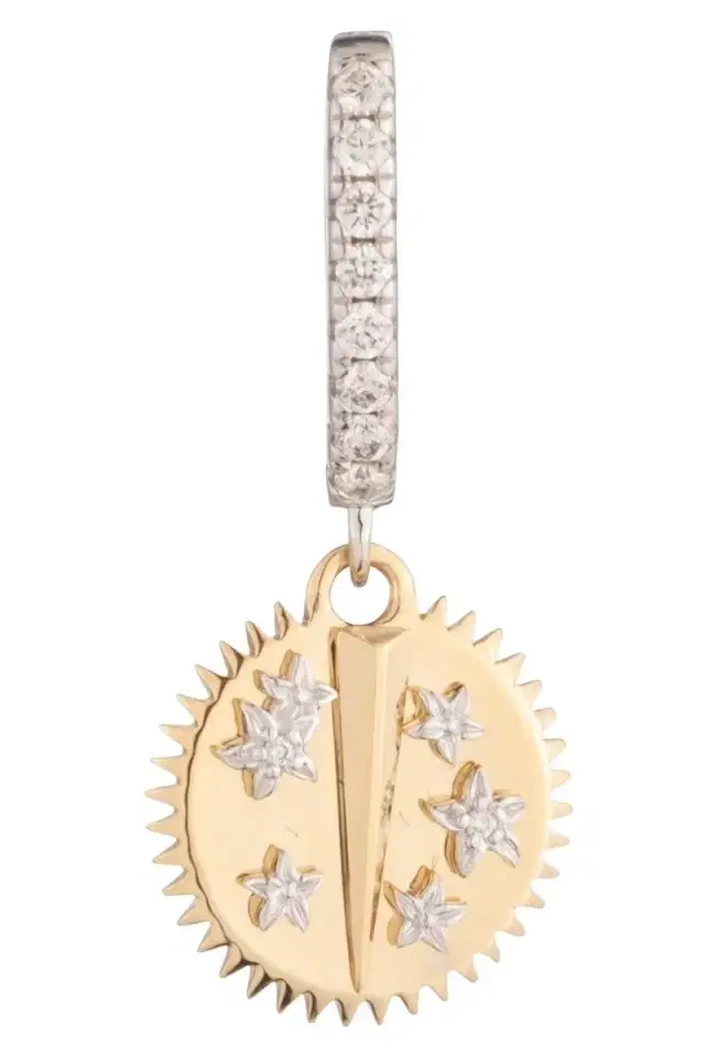 Resilience - Miniature Medallion Earring Resilience - Miniature Medallion Earring