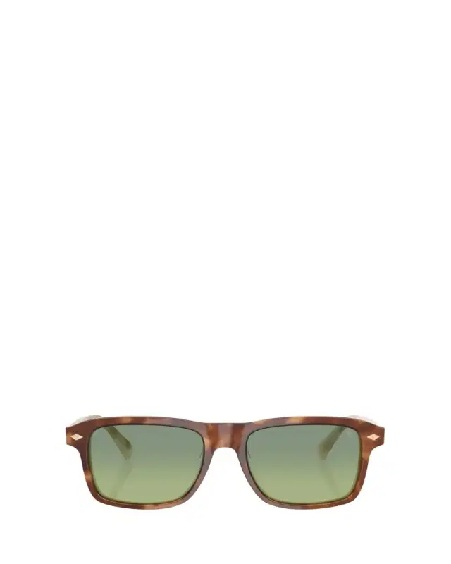 0BC4014S Square Acetate Sunglasses 0BC4014S Square Acetate Sunglasses