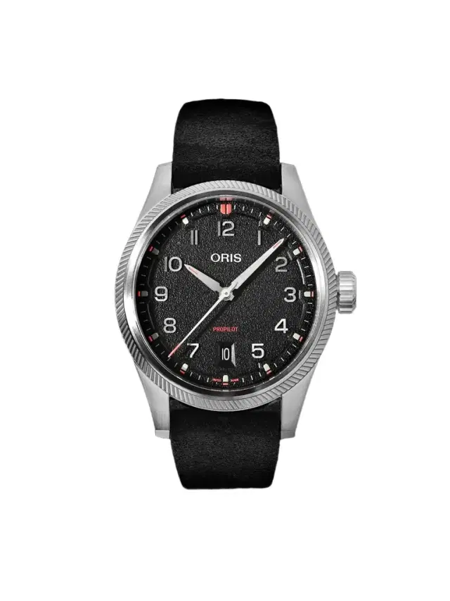 ProPilot Date Automatic Stainless Steel Watch, Ref. 01 733 7805 4164-07 6 20 04LC - Men ProPilot Date Automatic Stainless Steel Watch, Ref. 01 733 7805 4164-07 6 20 04LC - Men