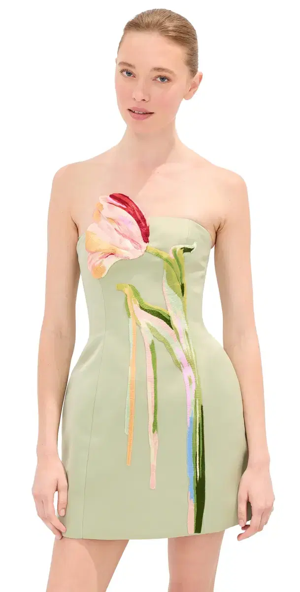Roselle Bustier Mini Dress Roselle Bustier Mini Dress